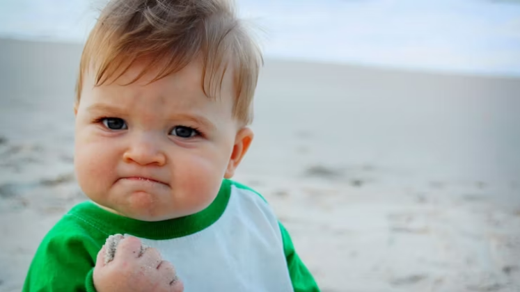 Bebê do sucessoUma fotografia de um bebê convencido na praia viralizou na web e logo se transformou em milhares de memes diferentes. O menino era associado a sucesso e determinação, e a foto foi utilizada no mundo inteiro