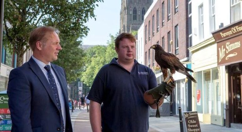 Aves caçadoras trabalharão oito horas por dia em Worcester