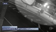 Moradores reclamam de insegurança após ladrões furtarem até cachorro em bairro de Franca 