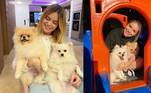 famosos com cães famosos