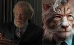Famosos felinos