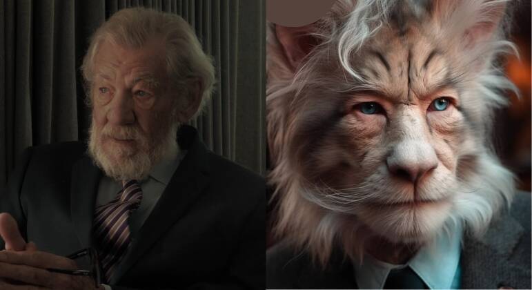 Famosos felinos
