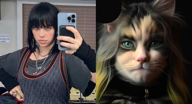 Famosos felinos
