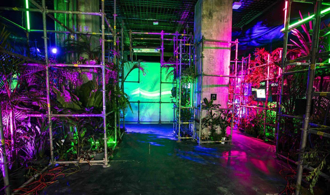  “Metaverso” contempla jovens artistas (Edu Garcia)