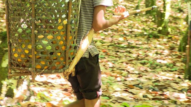 Os irmãos Alexandre e Leonardo tinham 9 e 10 anos de idade quando foram afastados do trabalho infantil pela primeira vez. Hoje eles estão com 14 e 15 anos e continuam no cacau.