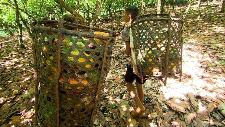 Alexandre, 14, largou a escola este ano porque não passa mais ônibus para levá-lo 