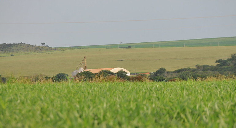 Fazenda de produção de grãos no Distrito Federal