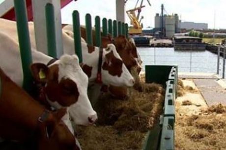 Fazenda flutuante fica perto do porto de Roterdã