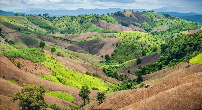 Mesmo as terras que foram desmatadas para servir de pastagens, por exemplo, podem voltar a ter florestas com a ajuda certa
