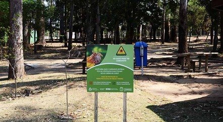 Campinas é área endêmica para a doença