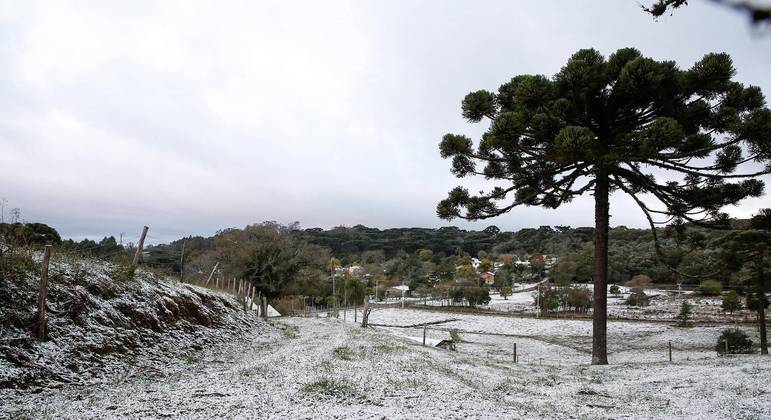 Neve: cidades brasileiras no sul do país registram fenômeno raro