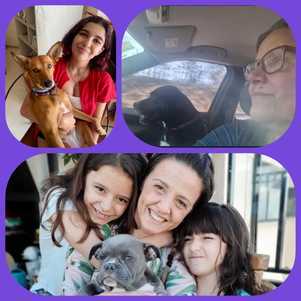 Feliz dia das Mães 'bichológicas'!!!