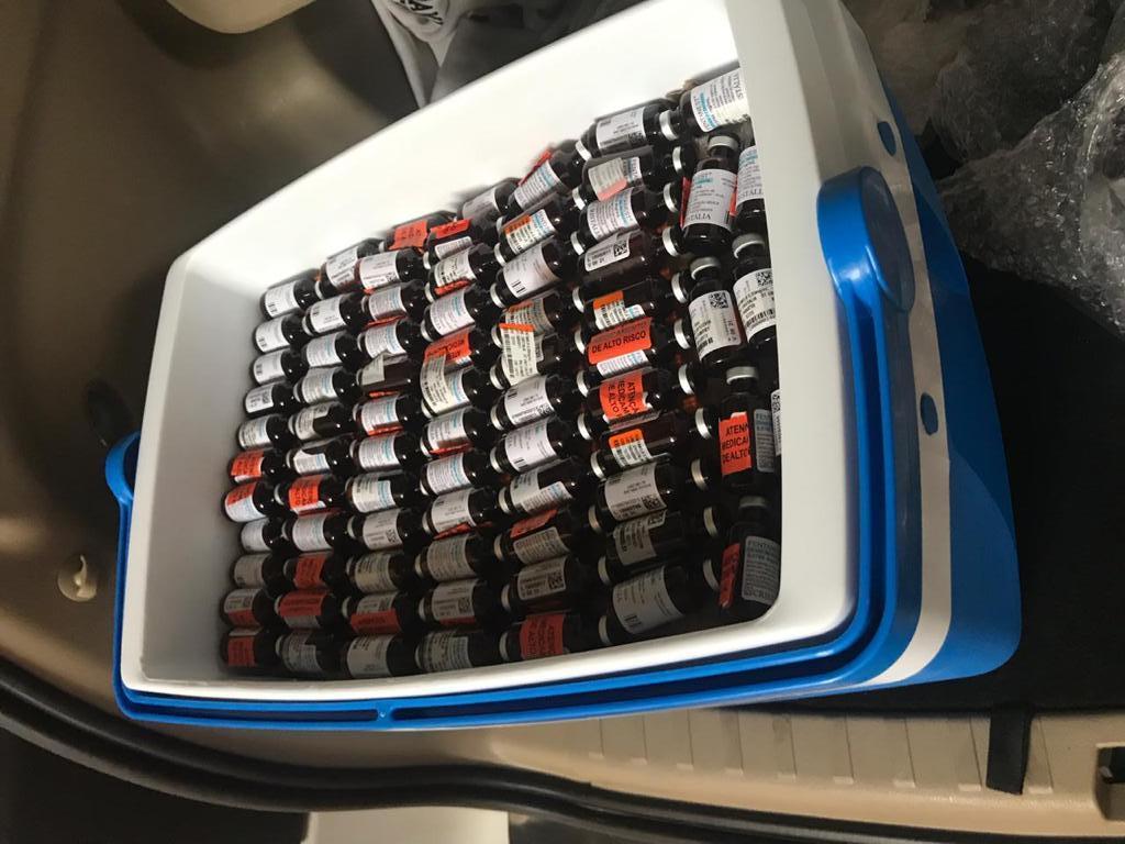 Caixa térmicas com ampolas entregues para agentes da DEA (Reprodução)