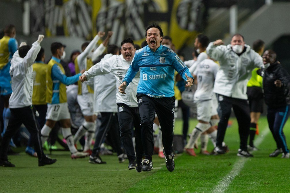 A euforia de Fernando Diniz. Só ele sabe o quanto precisa reforçar o Santos