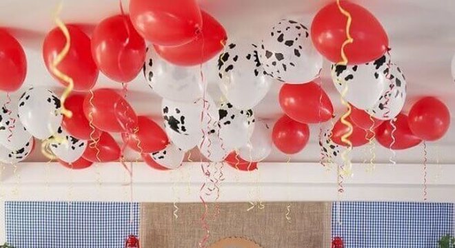 festa da fazendinha decorada com palha e bexigas Foto Webcomunica