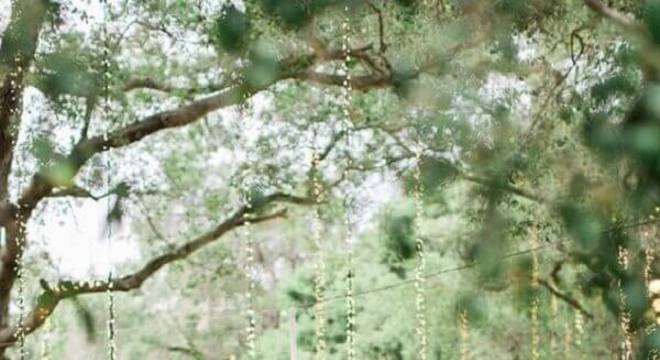 festa de casamento no campo com mesas redondas 