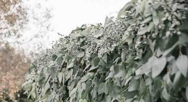 festa de casamento no campo decorada com arranjo de flores brancas e muitas folhagens