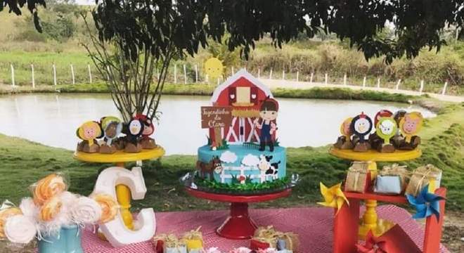 festa fazendinha ideias baratas Foto Chicas Decore