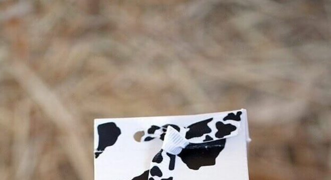 festa fazendinha ideias baratas para lembrancinhas Foto Quitandoca Fotografia