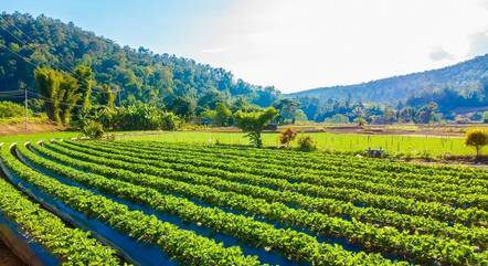 Produção agrícola já sofre efeitos das mudanças climáticas