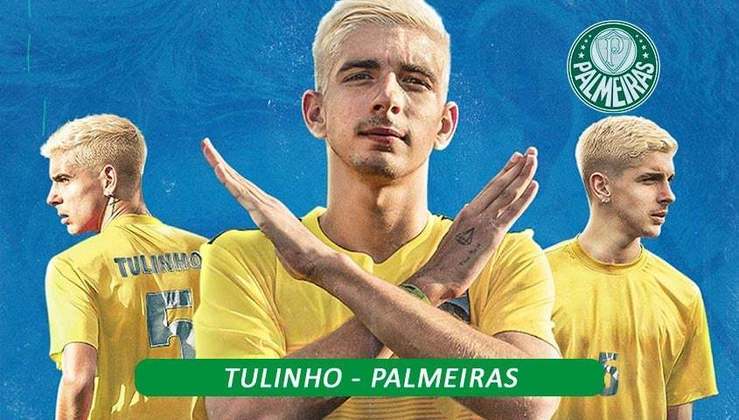 Filho de Túlio Maravilha, Tulinho faz sucesso com seus vídeos no YouTube e é torcedor do Palmeiras.