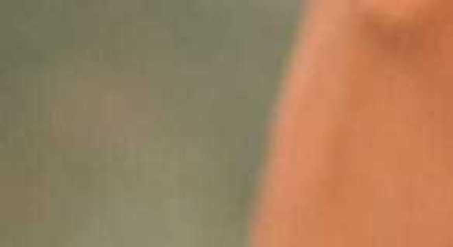 filho junior dinossauro