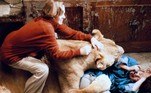 Mas pouco disso importa quando entendemos que o filme hoje é quase mitológico — muitas de suas imagens parecem criação de uma IANÃO PERCA: Tendência estranha: jovens usam umbigos adesivos falsos para as pernas parecerem maiores