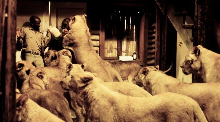 No filme, um naturalista vive com animais selvagens em uma reserva natural e recebe a visita da família, e eles interagem com os animais