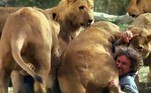 Ao todo, foram 11 anos de produção. O filme foi lançado no mercado internacional, onde foi um fracasso de bilheteria
