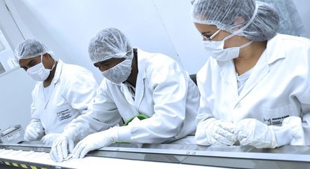 Técnica permite ver carga viral no organismo do paciente
