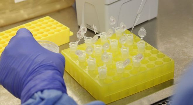 Fragmentos serão usados como "controle positivo"