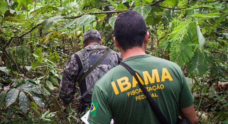 Fiscal do Ibama