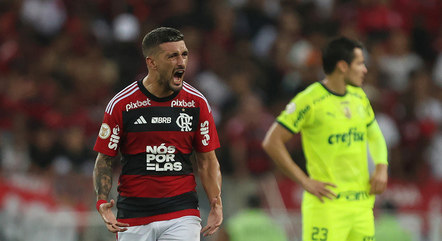 Flamengo entrou na briga pelo título brasileiro