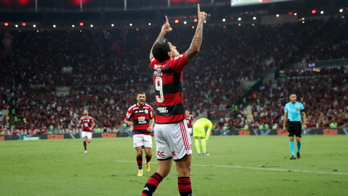 Com dois de Pedro, Flamengo bate o Palmeiras no Maracanã e entra de vez na  briga pelo título do Brasileirão