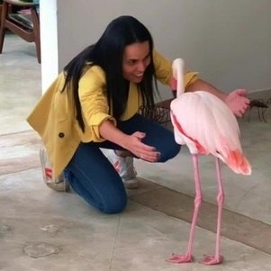 Ave dá abraço em mulher