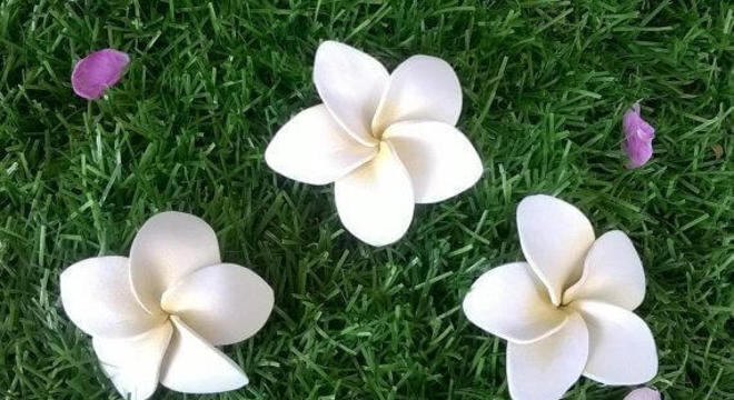 Flores de EVA brancas simples