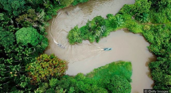 Preservar grandes extensões de terra pode ajudar a estabilizar ecossistemas vitais, como florestas tropicais, que atuam como reservatórios de carbono 