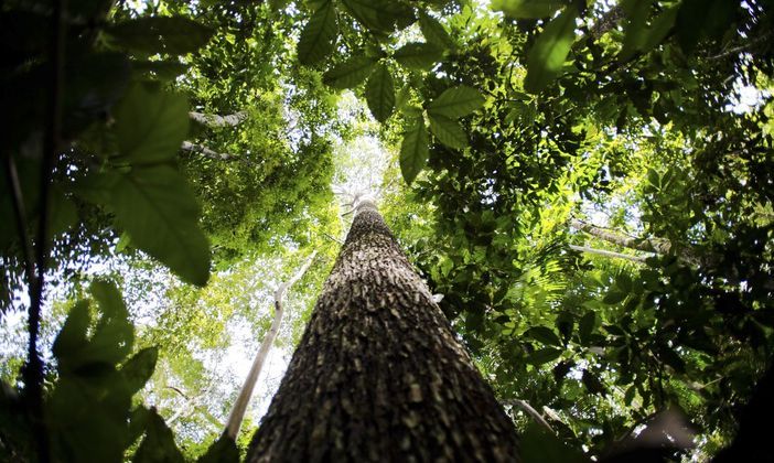 Ciências Humanas, análise de Luiz Carlos, Luiz Fay e Camile de Lucena, consultores pedagógicosGeografia: entre os temas maisrecorrentes, temos a geografia agrária, que fala sobre as transformaçõesdo espaço agrário, considerando aspectos econômicos, socioculturais e ambientais. Geografia agrária e a do meio ambiente se mesclammuito, especialmente sobre os impactos da ação humana na natureza e o aumento do desmatamento na Amazônia. A geografia do meio ambiente falamuito sobre escassez da água, descarte de lixo e suas consequências. A geografia econômica e de globalização traz discussões sobre eventoshistóricos atuais, como os blocos econômicos, o papel das entidades internacionais e as guerras comerciais. A geografia física aborda, principalmente, o tectonismo, o vulcanismo, o clima, a vegetação e a hidrografia. Por fim, a geografia urbana tratada especulação imobiliária, especulação fundiária, movimentos como o MST e geopolítica. Além de focar o aumento da quantidade delixo no espaço urbano e seu impacto na saúde das pessoas E TEM MAIS: Dificuldade para estudar? Confira 5 perfis de 'studygrammers' para se inspirar e arrasar nos exames