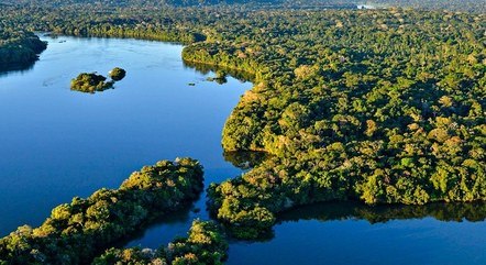 Amazônia já abriga diversas espécies de morcego