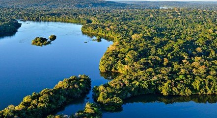 Floresta amazônica
