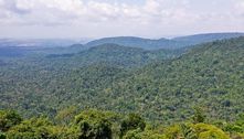 Senado aprova projeto que permite quitar terras da União na Amazônia Legal