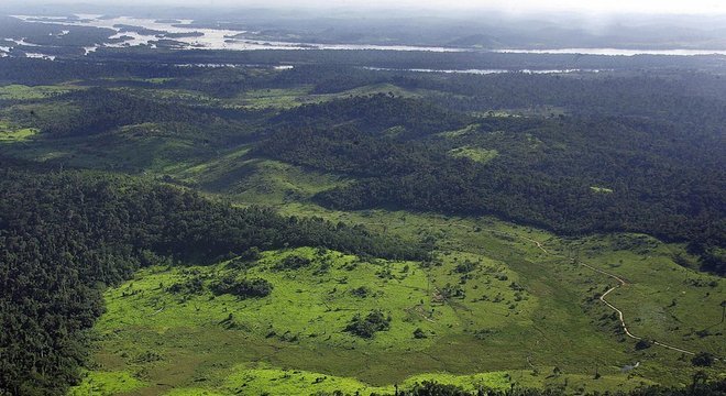 Um relatório de 2016 descobriu que 85% das compensações de carbono tinham uma "baixa probabilidade" de criar impactos reais