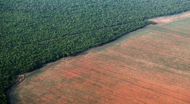 Desmatamento afeta o regime de chuvas e o clima local e no continente como um todo 