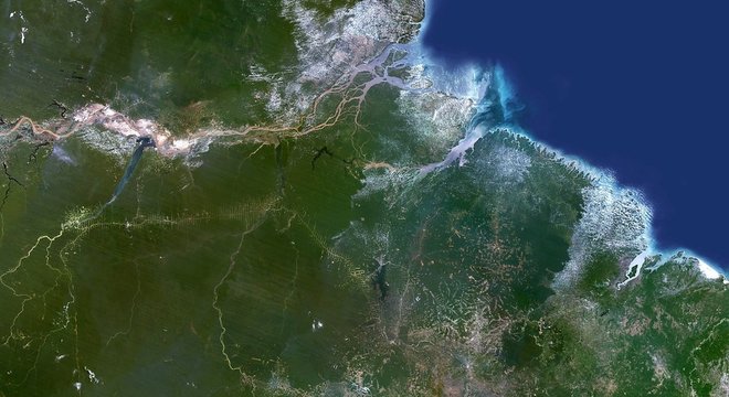 Brasil usa programa de satélite que rastreia a perda de árvores em grande escala, mas há sinais de que os proprietários de terras estão desmatando áreas menores para escapar da detecção, diz reportagem