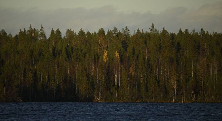 Floresta boreal em Lapland, no extremo norte da Finlândia