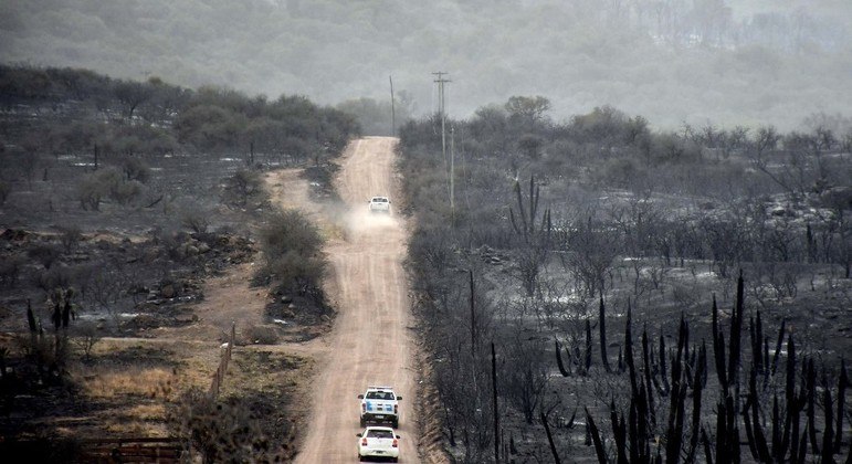 Incendios forestales cobran tres muertos en Argentina – Noticias