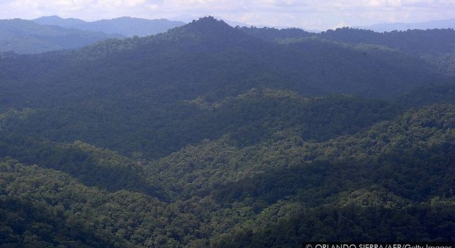 A floresta tropical de Mosquitia, na América Central, esconde não só um tesouro arqueológico