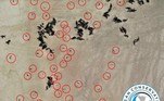 São cerca de 5.000 filhotes, que foram avistados pela organização Ocean Conservation Namibia, durante uma patrulha de drone, no último dia 5