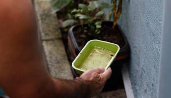 Casos de dengue diminuem quase 60% no DF, e nenhum óbito é registrado (Fernando Frazão/Agência Brasil - 30.03.2023)