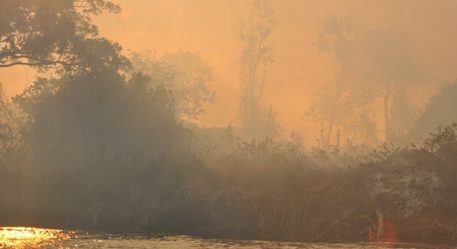 Entre os dias 1º de agosto e 31 de outubro, o número de focos de queimadas no Pantanal cresceu 506% na comparação com o mesmo período do ano passado